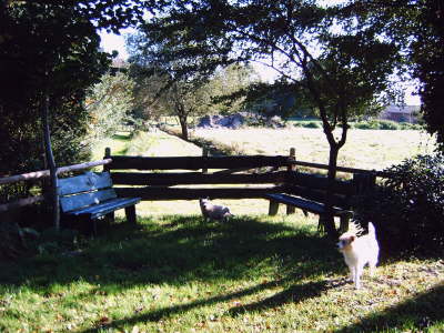 Bnke gebaut von K. Burfeind